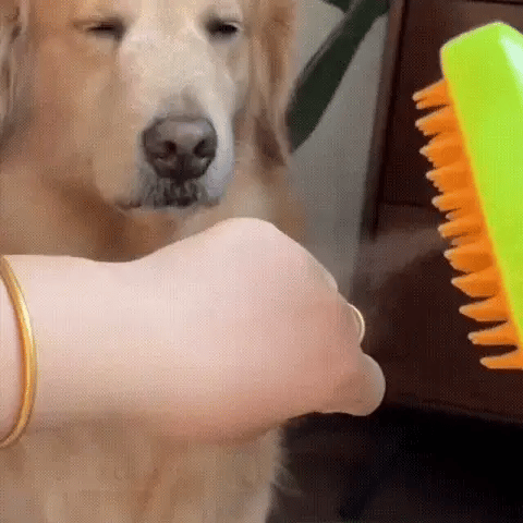 PelitosClean™ | Cepillo De Vapor Para Mascotas