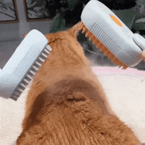 PelitosClean™ | Cepillo De Vapor Para Mascotas
