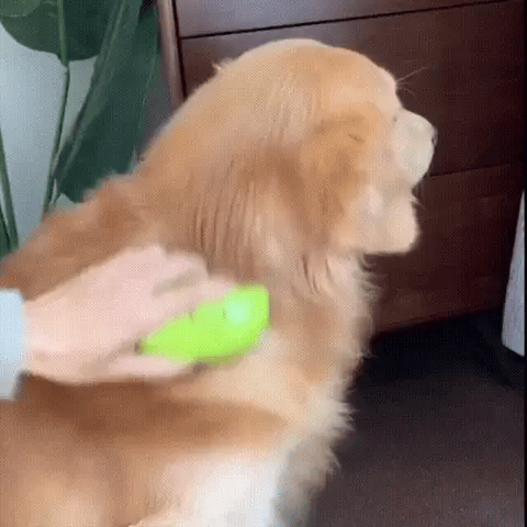 PelitosClean™ | Cepillo De Vapor Para Mascotas